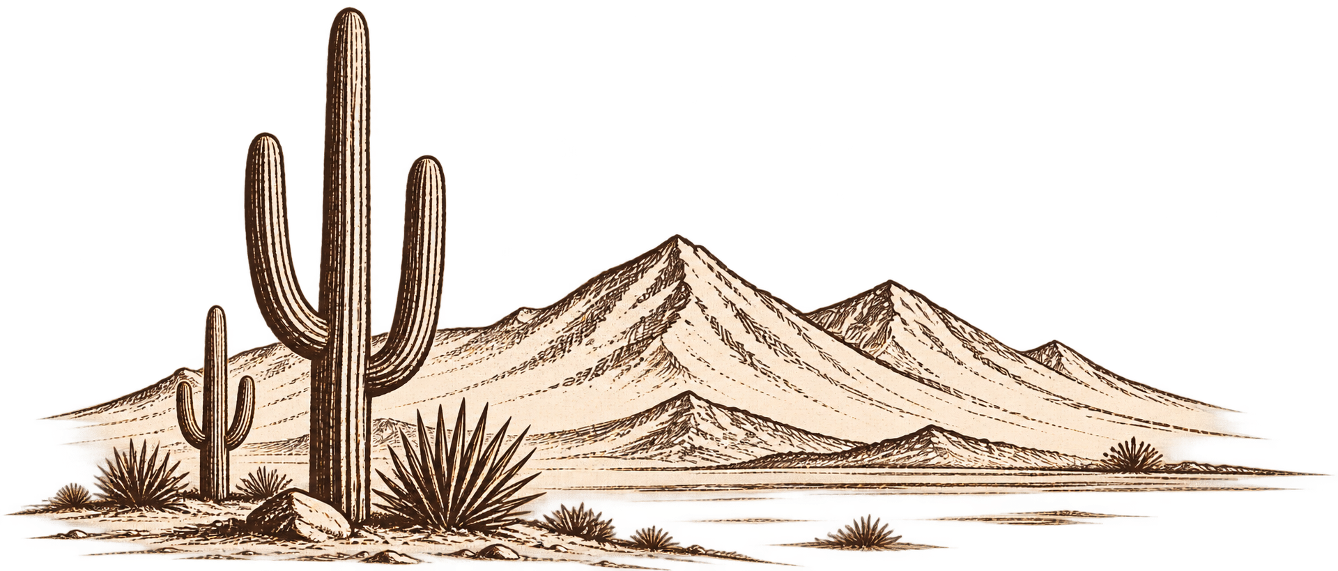 MIMI Outlaw desert